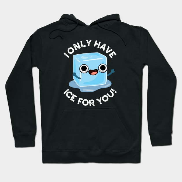 I Only Have Ice For You Cute Pun Hoodie by punnybone